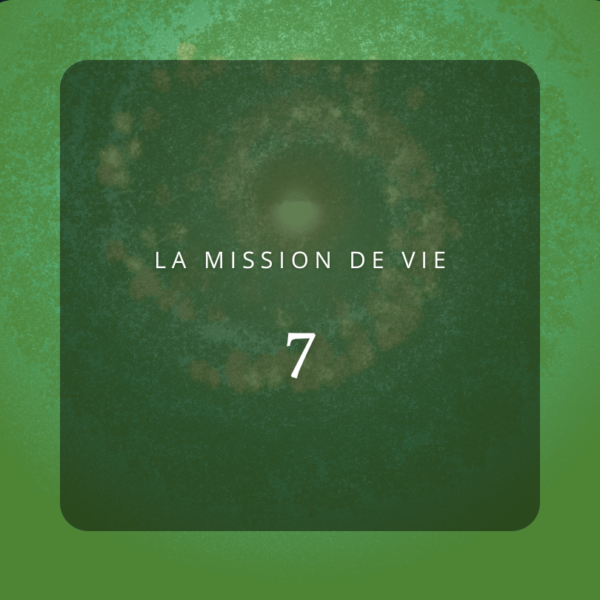 Mission de Vie 7 : L'Explorateur des Mystères