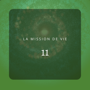 MISSION DE VIE 11