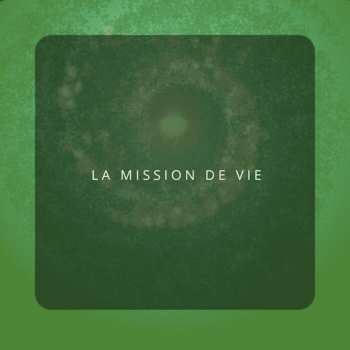 MISSION DE VIE